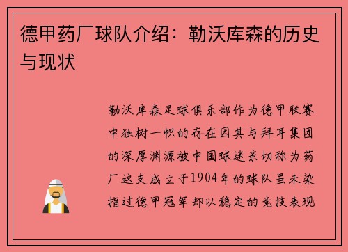 德甲药厂球队介绍：勒沃库森的历史与现状